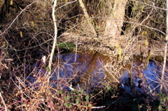 IMG_1505.JPG