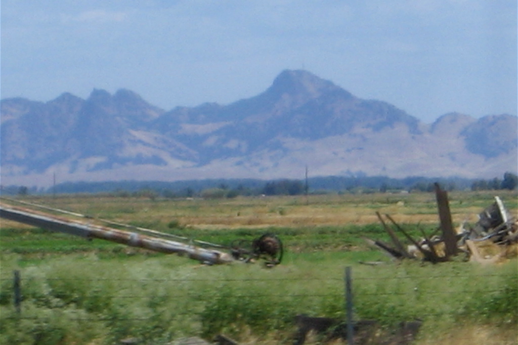 On the Way Home