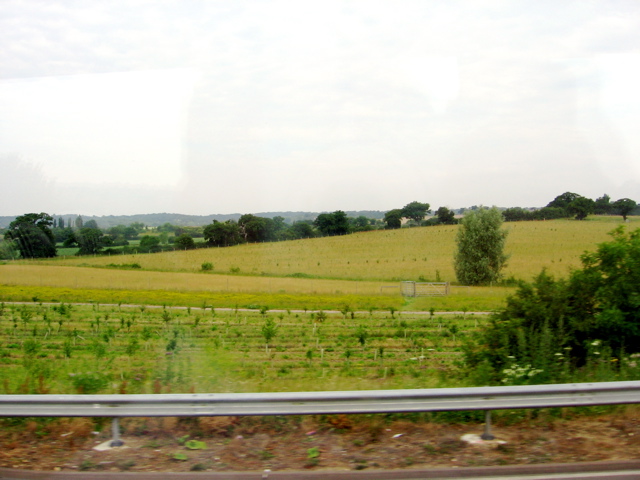 Countryside on the way to Oxford